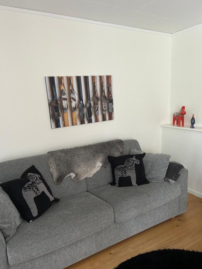 Joaengets Fjaellgard 18A Apartment Salen  Luaran gambar
